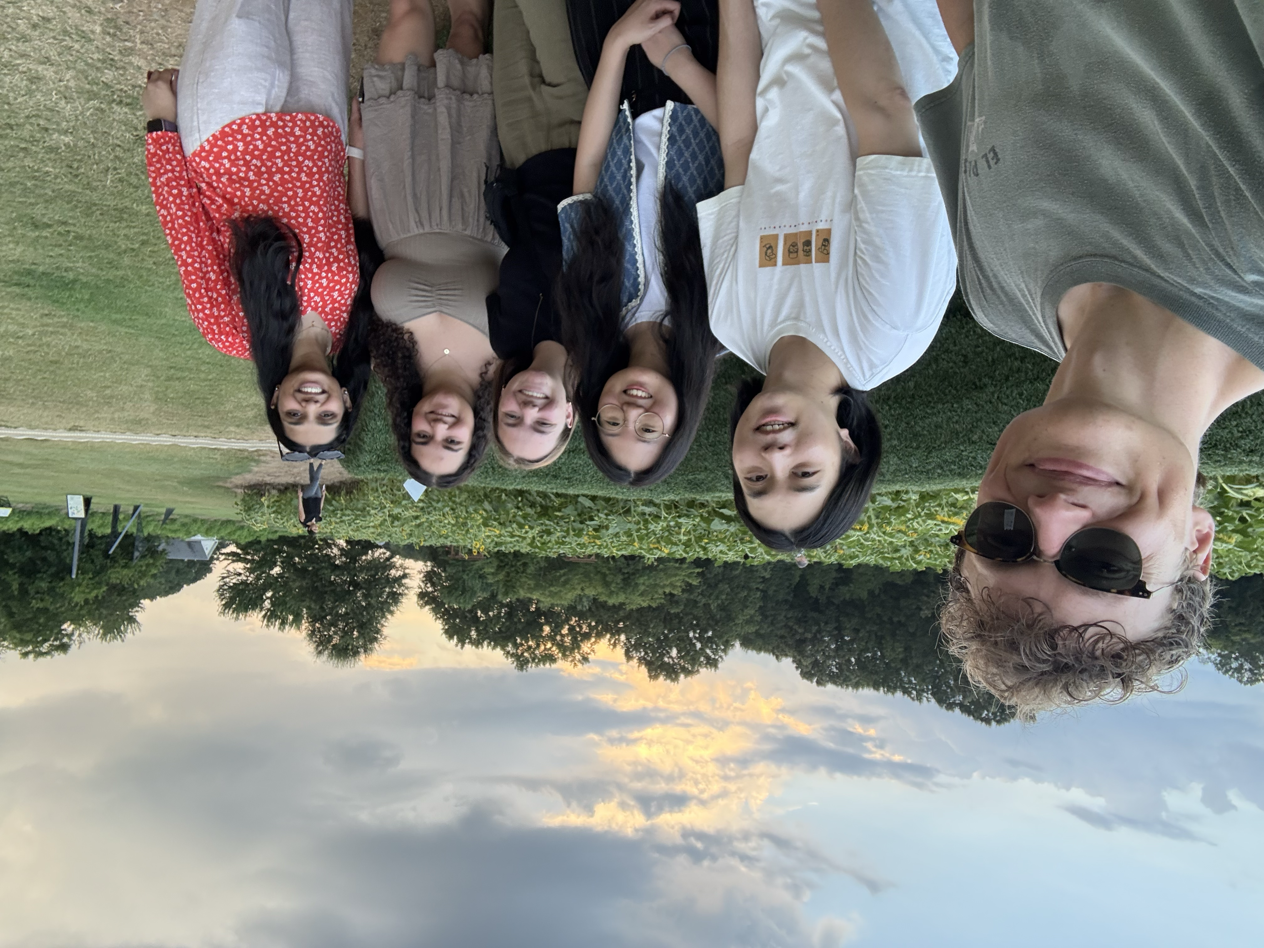 exploring the sunflowers